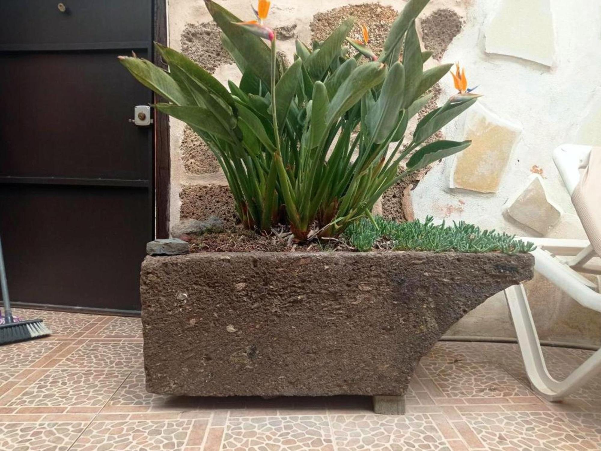Live Arico Lagar Villa Arico el Nuevo Dış mekan fotoğraf